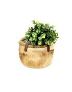 Natural wooden planter 4pc/Set