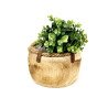 Natural wooden planter 4pc/Set
