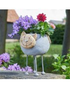 Pots & Planters