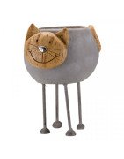 Pots & Planters