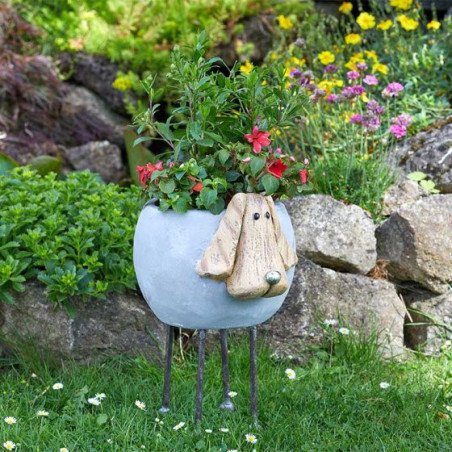 Pots & Planters