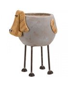 Pots & Planters