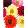 Artificial Gerbera Apricot /Single Stem