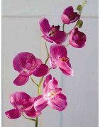 Artificial Orchid Pink/Single Stem