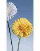 Artificial Gerbera Yellow /Single Stem