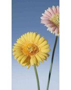 Artificial Gerbera Yellow /Single Stem