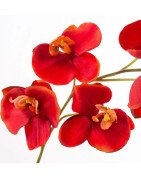 Artificial Orchid Orange/Single Stem