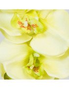 Artificial Orchid /Single Stem