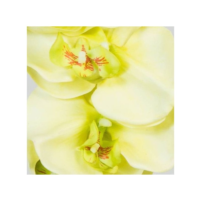 Artificial Orchid /Single Stem Artificial Orchid /Single Stem