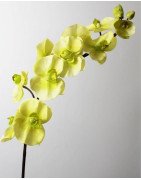 Artificial Orchid /Single Stem