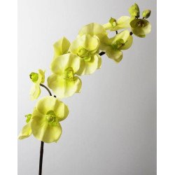 Artificial Orchid /Single Stem