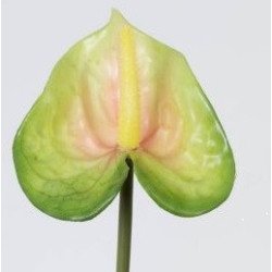 Artificial Anthurium