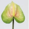 Artificial Anthurium