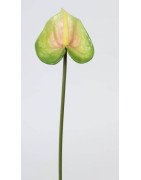 Artificial Anthurium