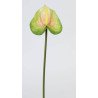 Artificial Anthurium