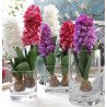 Artificial Hyacinth Flower with Bulb and leaves