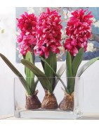 Artificial Hyacinth Flower with Bulb and leaves