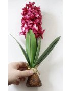 Artificial Hyacinth Flower with Bulb and leaves