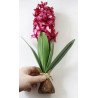 Artificial Hyacinth Flower with Bulb and leaves