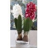 Artificial Hyacinth Flower with Bulb and leaves