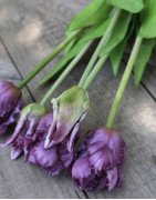 Artificial Parrot Tulips /bouquet of 5 stems