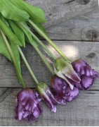 Artificial Parrot Tulips /bouquet of 5 stems