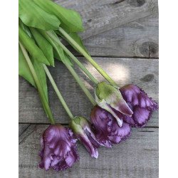 Artificial Parrot Tulips /bouquet of 5 stems