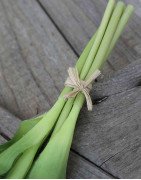 Artificial Parrot Tulips /bouquet of 5 stems
