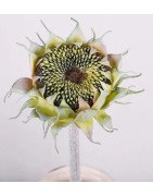 Artificial Sunflower/Single Stem