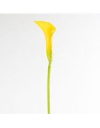 Artificial Calla/Single Stem