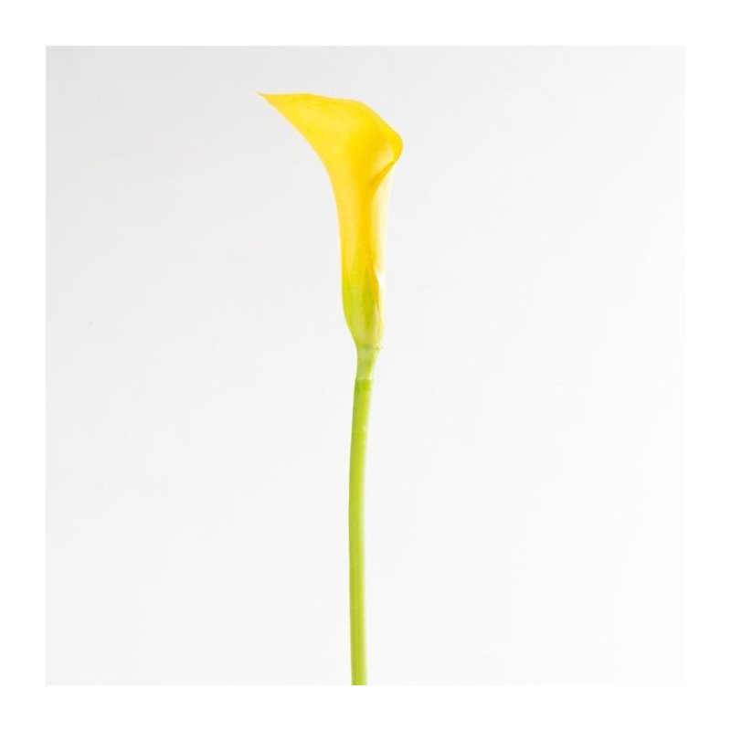 Artificial Calla/Single Stem Artificial Calla/Single Stem