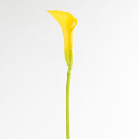 Artificial Calla/Single Stem