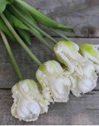 Artificial Parrot Tulips /bouquet of 5 stems