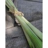 Artificial Parrot Tulips /bouquet of 5 stems