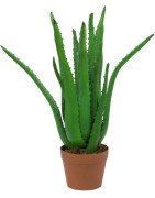 Artificial Aloe Vera plant