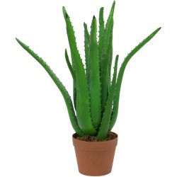 Artificial Aloe Vera plant
