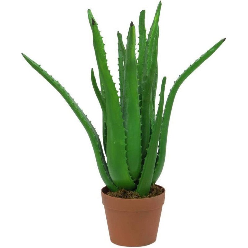 Artificial Aloe Vera plant Artificial Aloe Vera plant