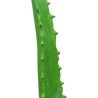 Artificial Aloe Vera plant