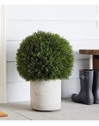 Artificial Cypress ball