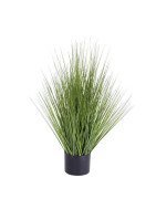 Artificial Grass