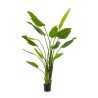 Artificial Strelitzia