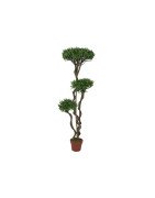 Artificial Bonsai Tree