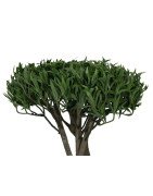 Artificial Bonsai Tree