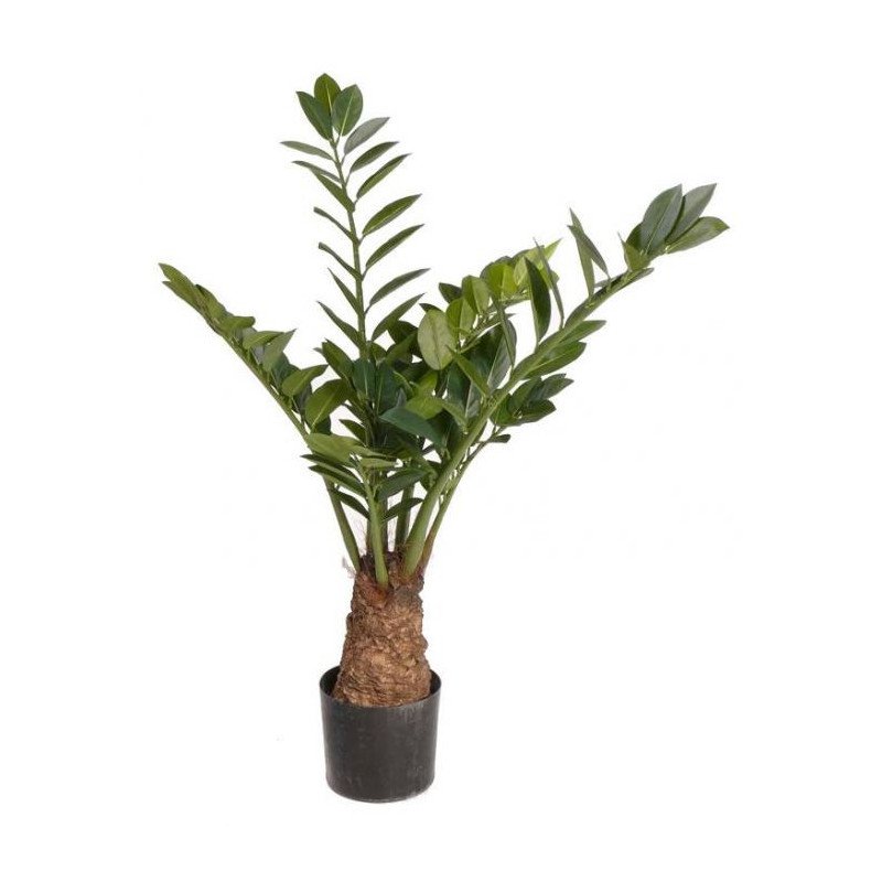 Artificial Zamioculcas