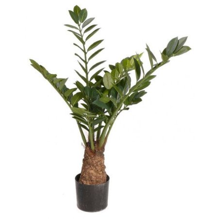 Artificial Zamioculcas