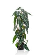 Artificial Alocasia