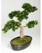 Artificial Japanese Bonsai Pine