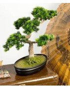 Artificial Japanese Bonsai Pine