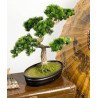 Artificial Japanese Bonsai Pine