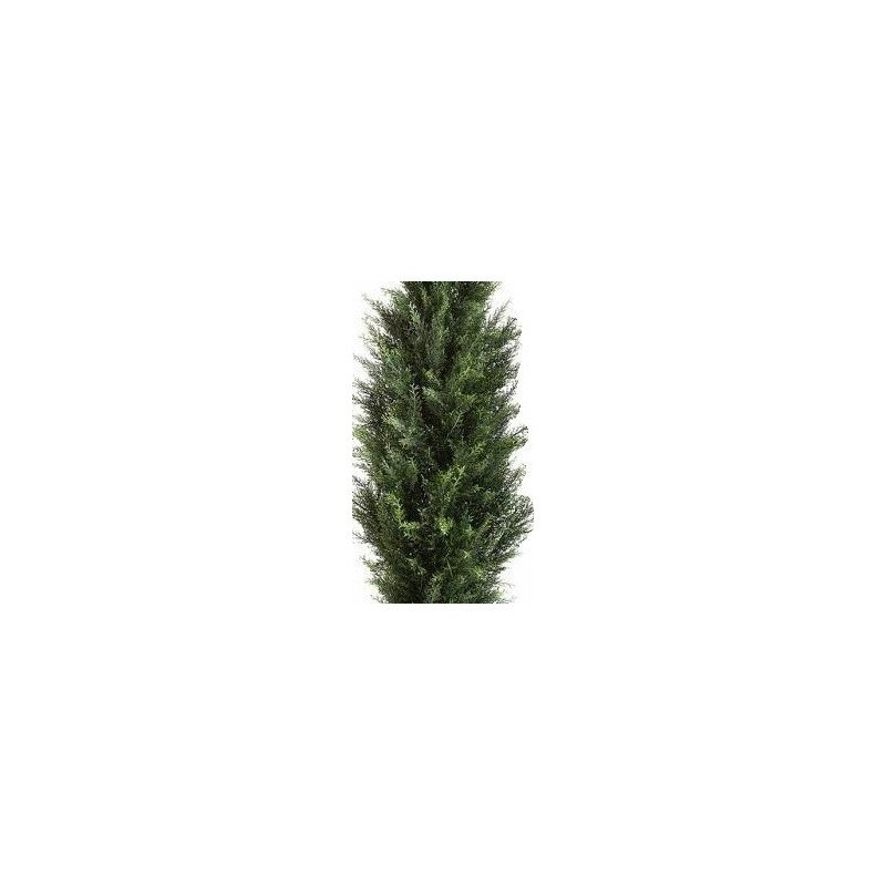 Artificial Cedar